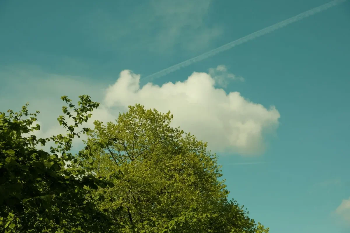 Weather Improves After Severe Flooding in the Czech Republic