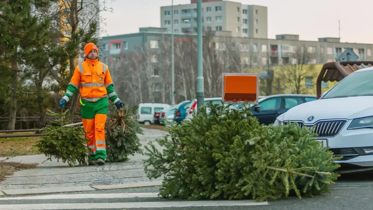 What to Do with the Christmas Tree? Tips for Proper Disposal in Prague