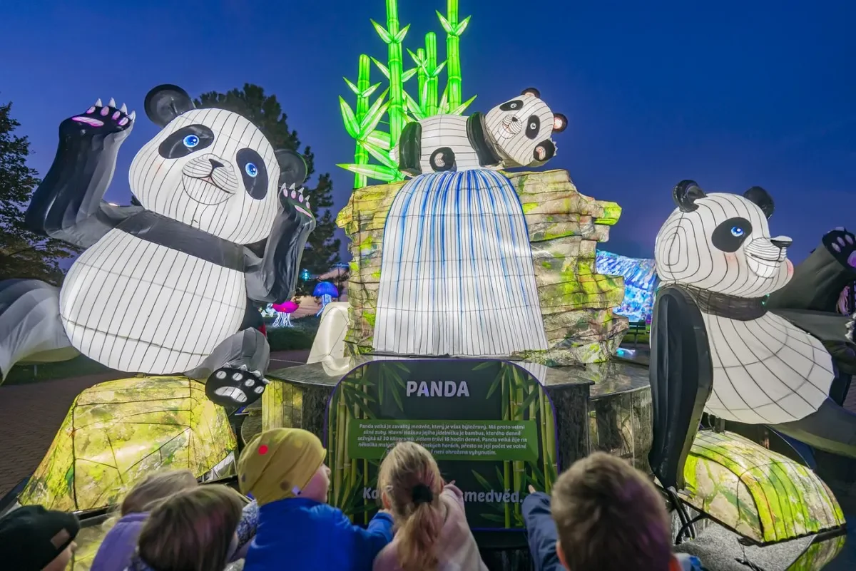 “Wonderland Praha”: Magical Light Park Reopens This Weekend in Prague-Letňany